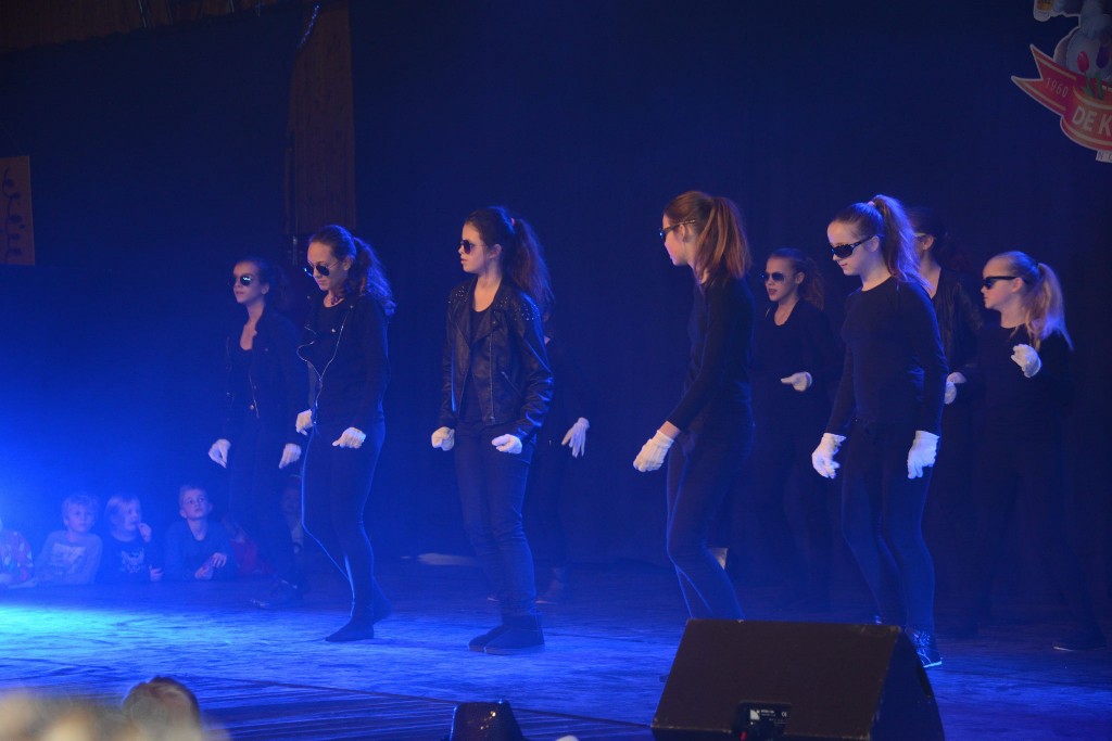 ../Images/Dansmarieke festival 2015 326.jpg
